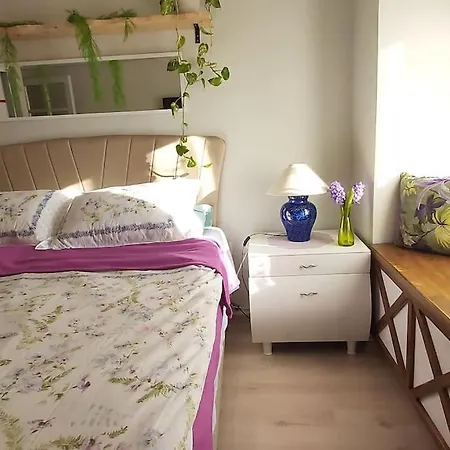 Bohem Tarzinda Villaniz Sizi Bekliyor Villa
