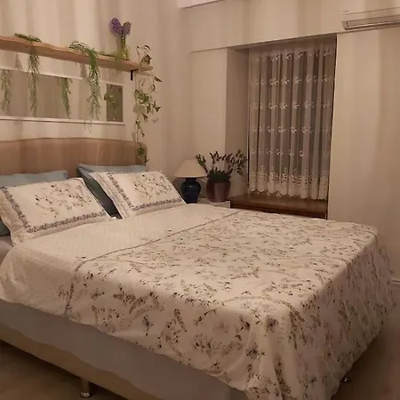 ヴィラ Bohem Tarzinda Villaniz Sizi Bekliyor シダ